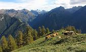 14 Scendendo alla Baita Croce di Monte Colle